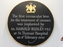 Ridley, Harold (id=2231)